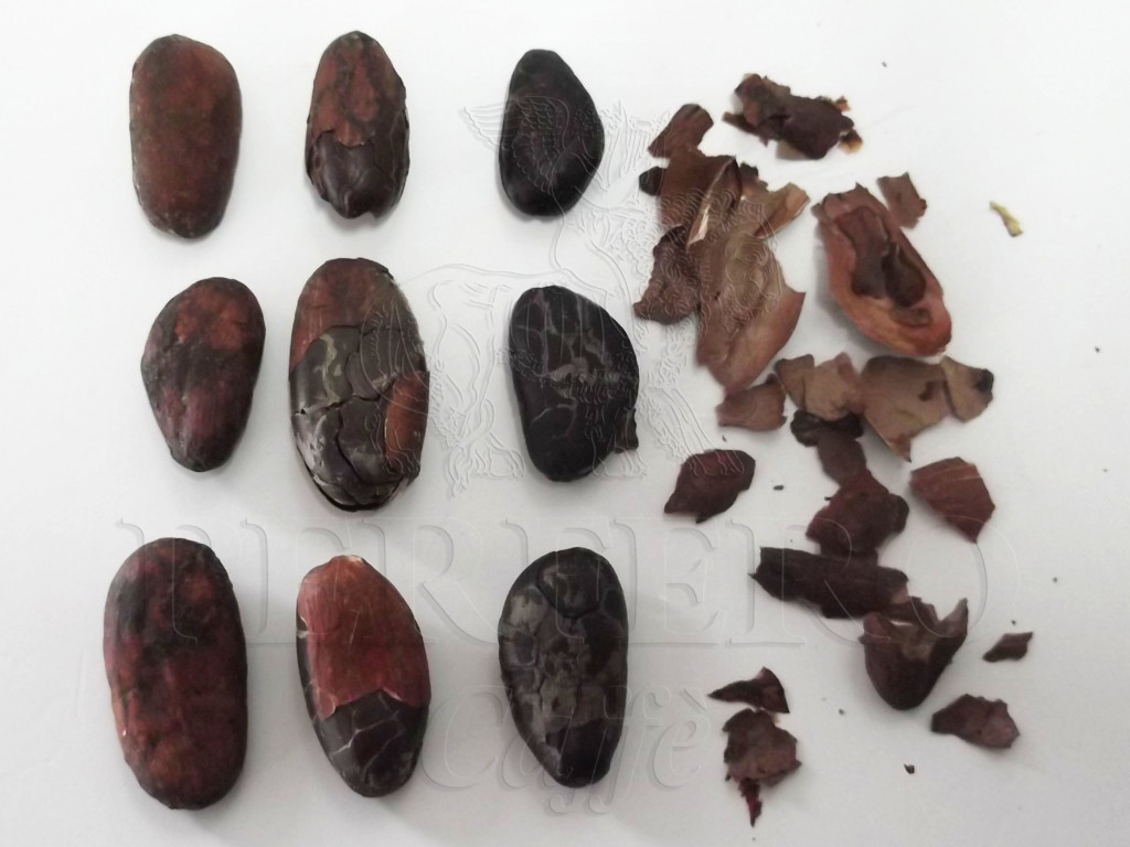 perfero fave di cacao